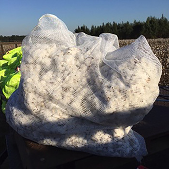 Mesh Cotton Harvest Bags