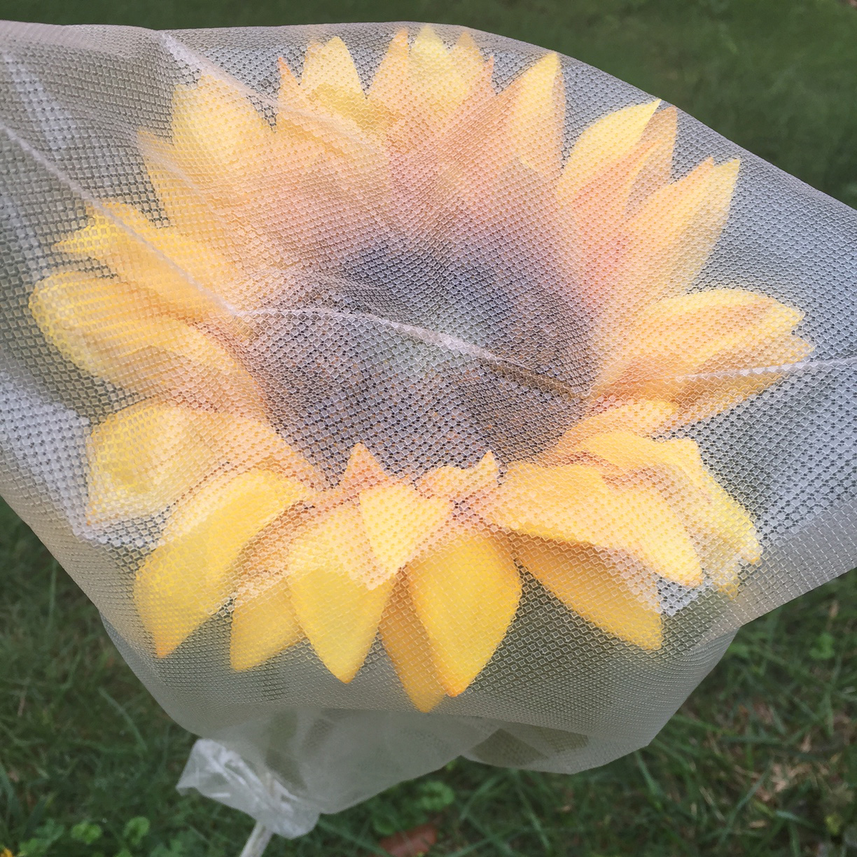 Seed Hybridization Bag Seed Hybridization Bag