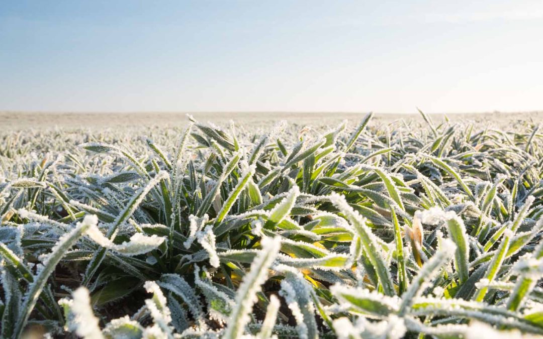 Field Report: Winter 2022/2023