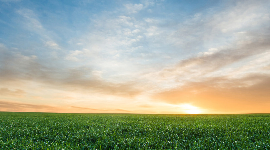 Territory Visit: East Central US