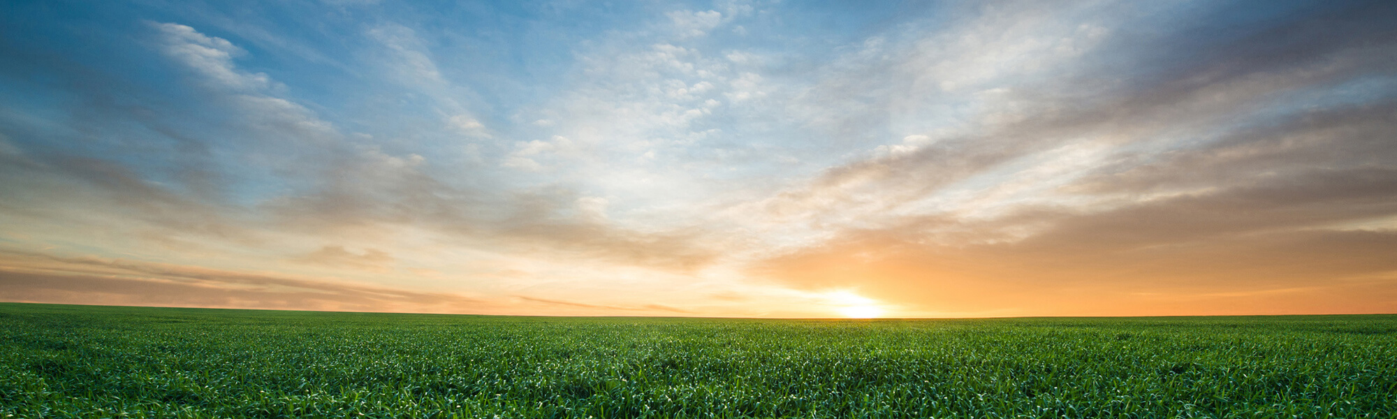 Territory Visit: East Central USA